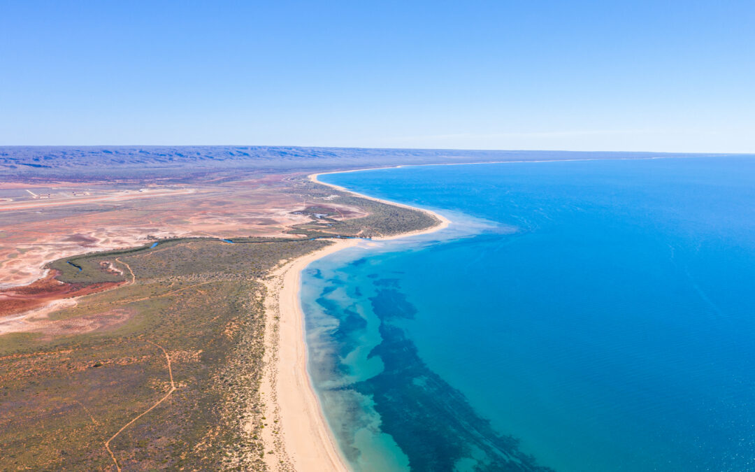 bsytds|Exploring the Exmouth Gulf: Wildlife and Adventure