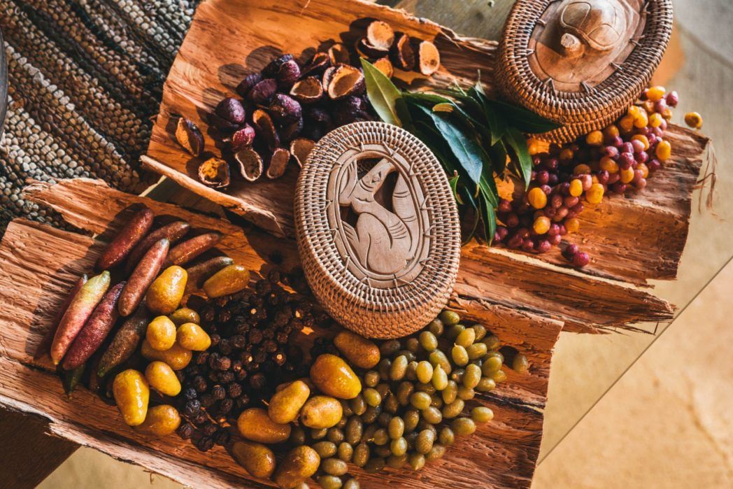 Bush Tucker Tour: Culinary Adventure in Kakadu
