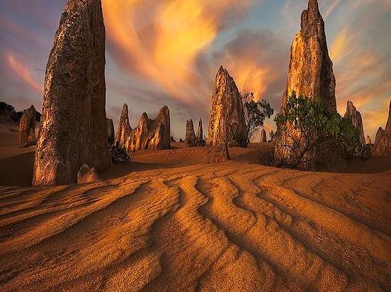 bsytds|Exploring the Pinnacles: A Natural Wonder of Western Australia