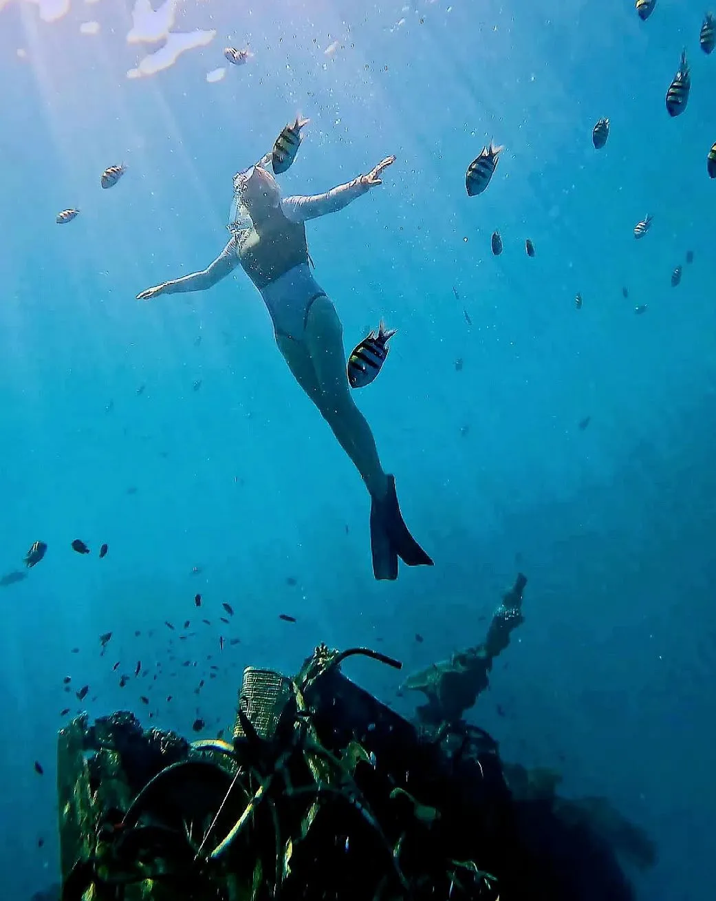 bsytds|Best Time to Snorkel Maldives