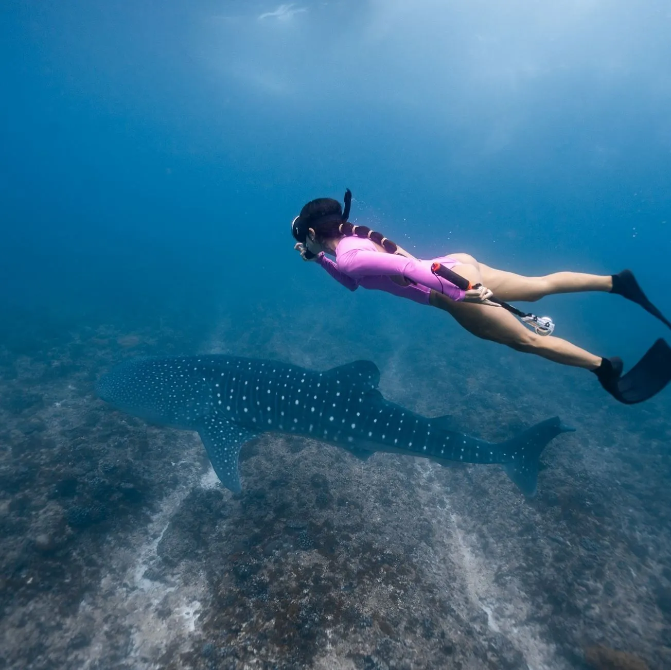bsytds | Best Time to Snorkel Maldives bsytds | Best Time to Snorkel Maldives